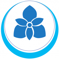 BlueOrchid3D