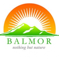 Balmor3D