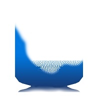 rio31