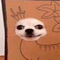 GooPi